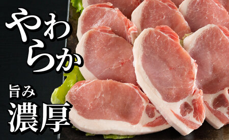 《定期便》長崎県産豚 ロースとんかつ用計1kg(100g×5枚×2) 【12回お届け】