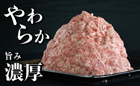 《定期便》長崎県産豚 ひき肉 計1.8kg (300g×6) 【12回お届け】