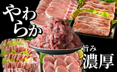 《定期便》長崎県産豚 バラエティ 5点セット 計2.5kg【6回お届け】