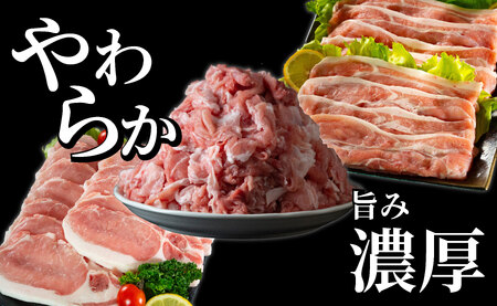 《定期便》長崎県産豚 食べ比べ 梅コース【3回お届け】