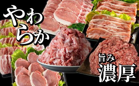 《定期便》長崎県産豚 食べ比べ 松コース【12回お届け】