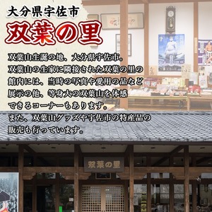 ＜訳あり・簡易包装＞双葉山カレー(計1.8kg・180g×10P) 鶏肉 鳥肉 とりにく とり肉 お肉 カレー チキンカレー スパイスカレー レトルト 簡単調理 常温 保存【115601500】【SFPコンサルティング】