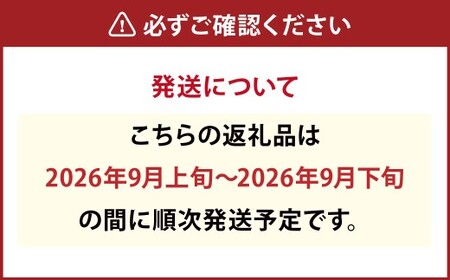 ≪先行受付≫ 福果園の樹上完熟梨 農家直送品種おまかせ（3kg程度）5～9玉 【2026年9月上旬～9月下旬 発送予定】