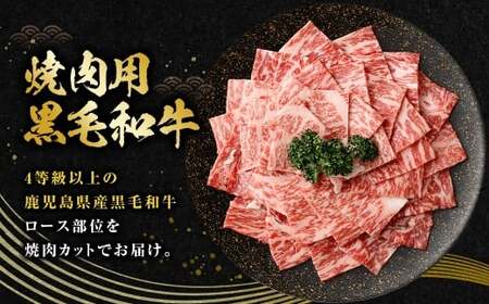 【鹿児島県産】黒毛和牛 焼肉用ロース 400g 4等級以上 肉 肉 お肉 にく ニク 牛肉 焼肉 ロース 冷凍 スターゼン 鹿児島県 薩摩川内市 AS-8125