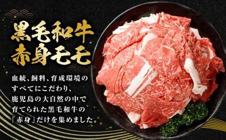 【鹿児島県産】黒毛和牛 赤身 切り落とし 計1kg (500g×2） 肉 お肉 にく ニク 牛肉 冷凍 スターゼン 鹿児島県 薩摩川内市 AS-8126