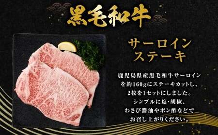 【鹿児島県産】 黒毛和牛 サーロインステーキ＆カルビ焼肉セット 合計約620g 肉 お肉 にく ニク 牛肉 サーロイン カルビ ステーキ 焼肉 詰め合わせ 冷凍 スターゼン 鹿児島県 薩摩川内市 BS-3121