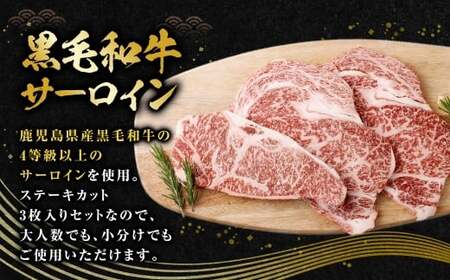 【鹿児島県産】黒毛和牛 サーロインステーキ 約500g （約170g×3枚） 肉 お肉 にく ニク 牛肉 サーロイン ステーキ 冷凍 スターゼン 鹿児島県 薩摩川内市 BS-3122