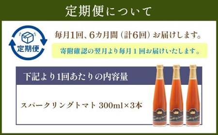【6回定期便】 北海道サイダー スパークリングトマト 3本セット×6回 計18本 トマトジュース とまとジュース 炭酸 炭酸飲料 飲料 ドリンク スパークリング トマト とまと 北海道産 国産 サイダー