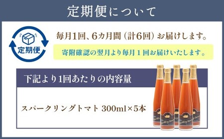 【6回定期便】 北海道サイダー スパークリングトマト 5本セット×6回 計30本 トマトジュース とまとジュース 炭酸 炭酸飲料 飲料 ドリンク スパークリング トマト とまと 北海道産 国産 サイダー