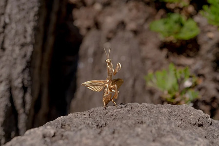 カマキリネックレス　ゴールドカラー　All insects　【セレブ御用達】【世界10個限定】