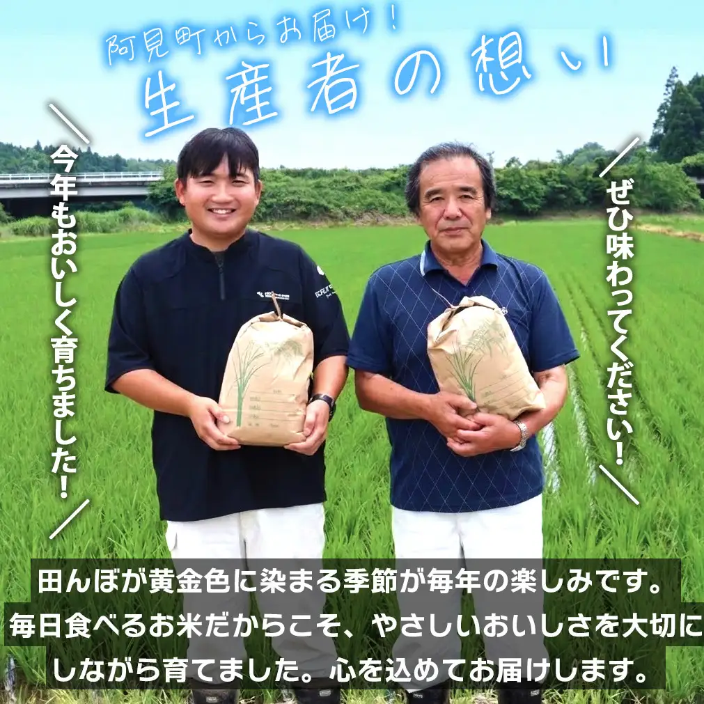 米 農家の美味しいお米 精米 10kg 令和7年産 茨城県産 阿見町産 お米 こめ コメ ごはん 白米 茨城県産米 安心 安全 送料無料 国産 人気 数量限定 高評価（85-172）