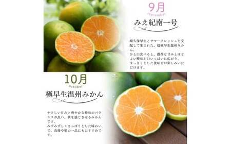 みかん 定期便 4回 計28kg【超極早生温州・極早生温州・由良早生・早生温州】みかん【nkmr-tkb0005】