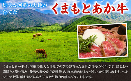 くまもとあか牛ハンバーグ 150g×6個 有限会社草佳苑《30日以内に出荷予定(土日祝除く)》熊本県 菊池市 肉 牛肉 お肉 和牛 あか牛 ハンバーグ 熊本県産 冷凍