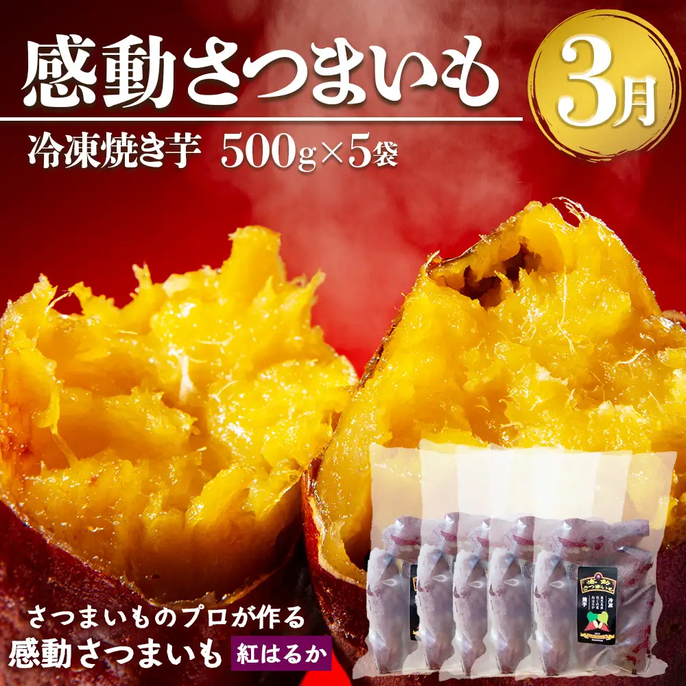 【定期便・年4回】農家の感動シリーズB (約16.4kg) FR-2｜冷凍焼き芋 ゴールドラッシュ とうもろこし 塩茹で 落花生 おおまさり ピーナッツ 芋 さつまいも 紅はるか 野菜定期便 旬 産地直送 サラダ 南大隅町
