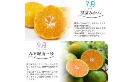 みかん 定期便 5回 計14.5kg 【温室みかん・超極早生温州・極早生温州・由良早生・早生温州】【nkmr-tkb0001】