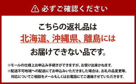 ぞうさん倉敷帆布バッグ【カジュアルバッグ バッグ 鞄 カバン かばん ぶんや工房 アーティスト オリジナル 岡山県 倉敷市 おすすめ 人気】