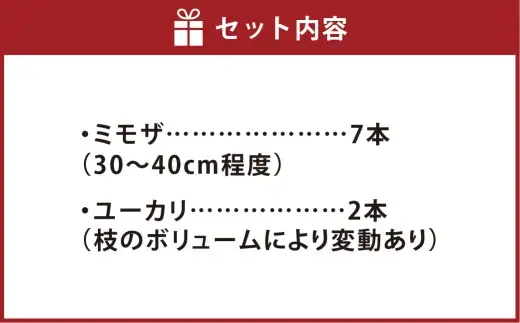 【倉敷市栽培】春限定！ミモザとユーカリの花束／フレッシュ【2027年2月下旬～3月下旬発送予定】【ハンドメイド ミモザリース リース ドライフラワー ミモザ お花 花 岡山県 倉敷市 おすすめ 人気】