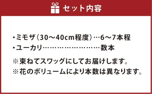 【倉敷市栽培】春限定! ミモザとユーカリのスワッグ／生→ドライフラワー【2027年3月上旬～4月上旬発送予定】【ハンドメイド ミモザリース リース ドライフラワー ミモザ お花 花 岡山県 倉敷市 おすすめ 人気】