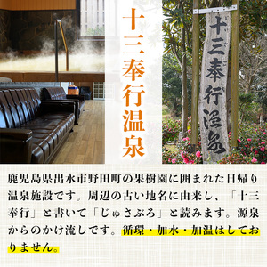 十三奉行(じゅさぶろ)温泉 入浴券 5回分 入浴チケット 【アーステクノ】 i1218-A