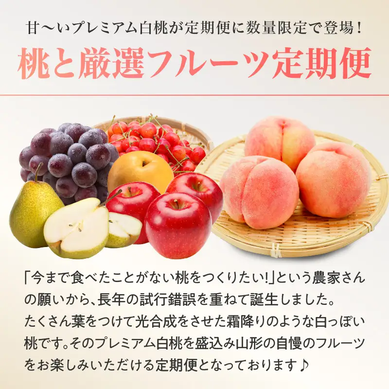 《先行受付》プレミアム白桃と5種便【定期便全5回】 060-T12