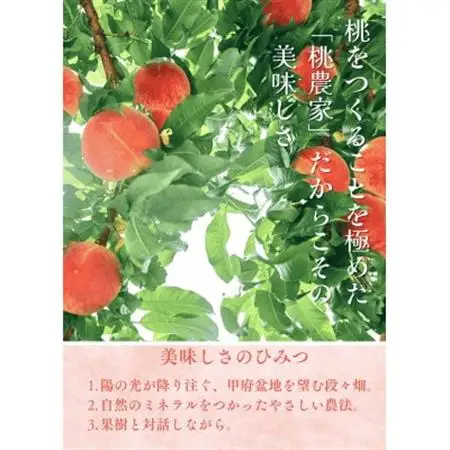 【2026年7月発送開始】もも農家ヤマシタ　桃の産地山梨から直送　2kg　【配送不可地域：離島】【1707797】