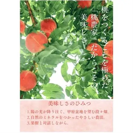 【2026年7月発送開始】桃の産地山梨からお届け　ピーチ専科ヤマシタの桃　5kg【配送不可地域：離島】【1707820】