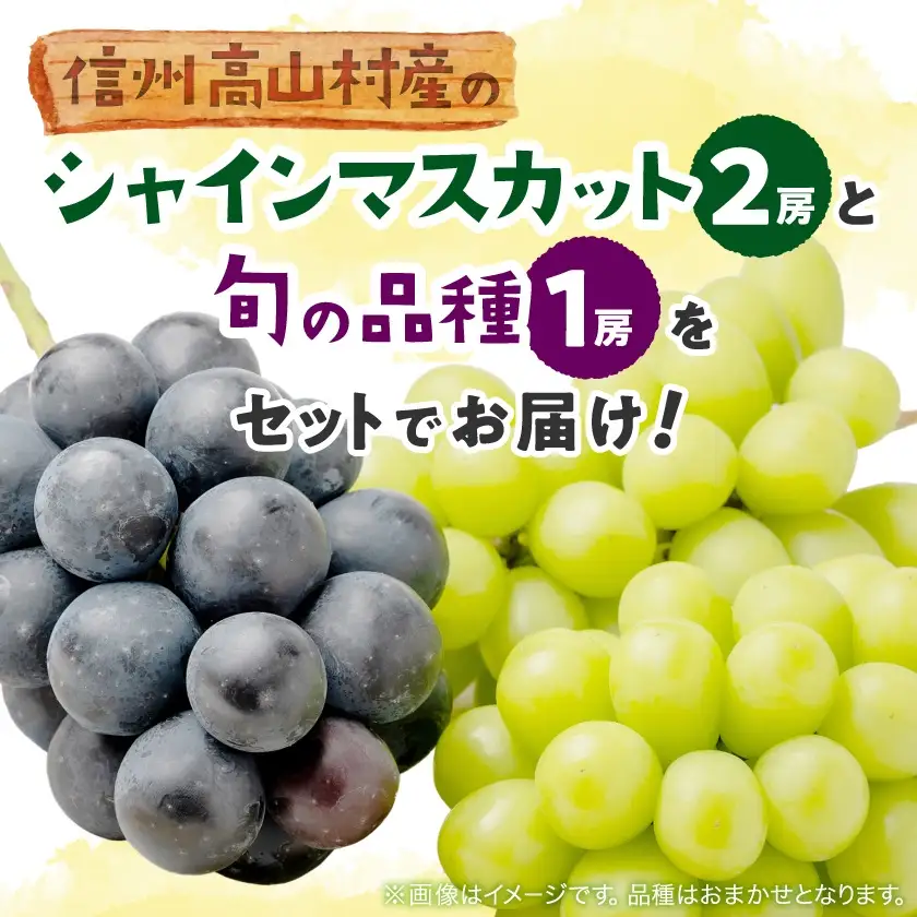 【信州産ぶどう3房セット】 シャインマスカット2房・旬の品種1房(約500g×3房)【配送不可地域：離島】【1221645】