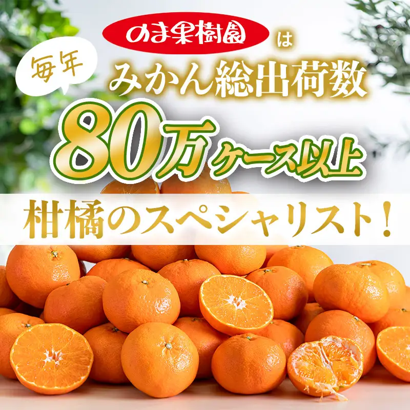 【先行予約】甘平（2kg） 