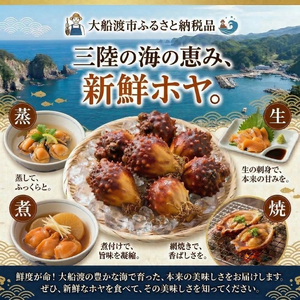 【先行予約】 ホヤ専門業者の殻付きホヤ 10個 ＼5月以降順次発送／