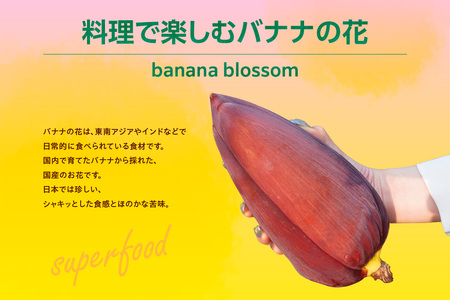 バナナの花　1個（300g以上） | バナナ ばなな 花 果物 フルーツ バナナハート 貴重 南国 産地直送 常滑市産 愛知県産 国内産 健康 就労支援 農業 アスナロファーム 愛知県 常滑市