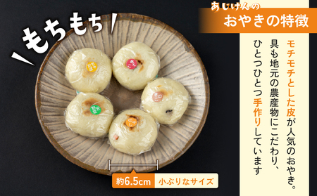 おやき2種 10個セット（野沢菜、切り干し大根）【北御牧村味の研究会】｜無添加 冷凍 長野県 東御市 信州 少量 お焼き