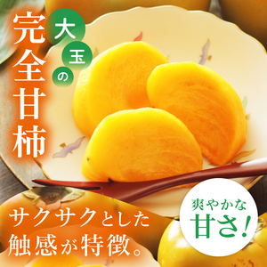 【2026年10月上旬より順次発送】【数量限定】太秋柿 約2kg（6-8玉）（MA-4）