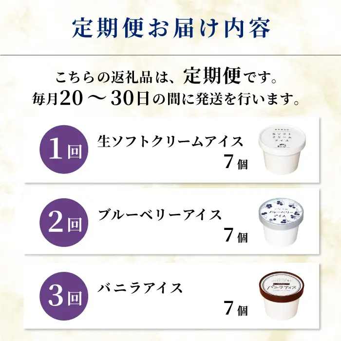 全3回〈翌月から発送開始〉3種類のアイス定期便☆ 南信州根羽村産アイス が毎月7個届く！ 合計21個 アイス アイスクリーム 定期便 生ソフトクリームアイス バニラアイス ブルーベリー 果物 ジャム 長野県 根羽村 ソフトクリーム スイーツ