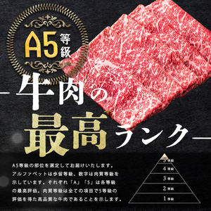 【小分け】＜A5等級＞鹿児島県産 黒毛和牛 牛肉 赤身 しゃぶしゃぶ すき焼き スライス (200g×3P/計600g) a3-240