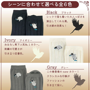 おはなし靴下 ギフトボックス ペンギン レディース アイボリー