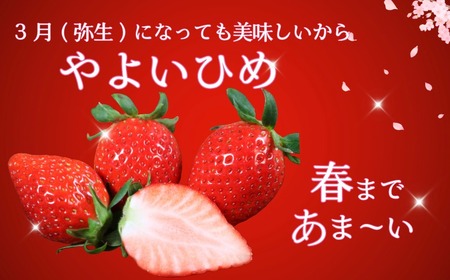 いちご やよいひめ 約450g～500g 12～15粒 【1月下旬～4月下旬頃に順次出荷予定】 いちご 