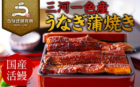 三河一色産うなぎ蒲焼特大4尾(計640g以上)・R044