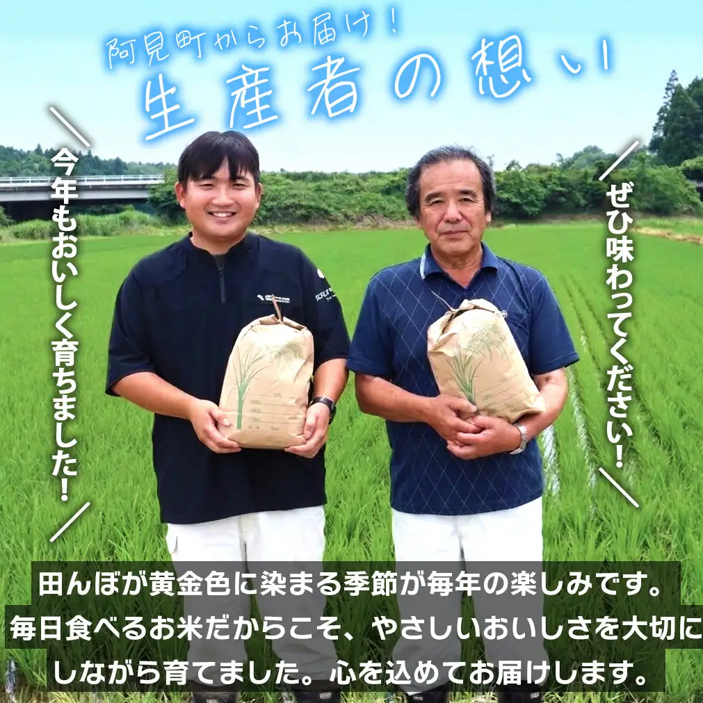 米 定期便 5ヶ月 コシヒカリ 精米 10kg 令和7年産 茨城県産 お米 こめ コメ ごはん 白米 こしひかり 茨城県産米 単一米 単一原料米 安心 安全 送料無料 国産 人気 数量限定 高評価（85-152）