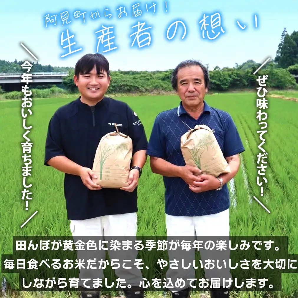 米 定期便 8ヶ月 コシヒカリ 精米 10kg 令和7年産 茨城県産 お米 こめ コメ ごはん 白米 こしひかり 茨城県産米 単一米 単一原料米 安心 安全 送料無料 国産 人気 数量限定 高評価（85-155）