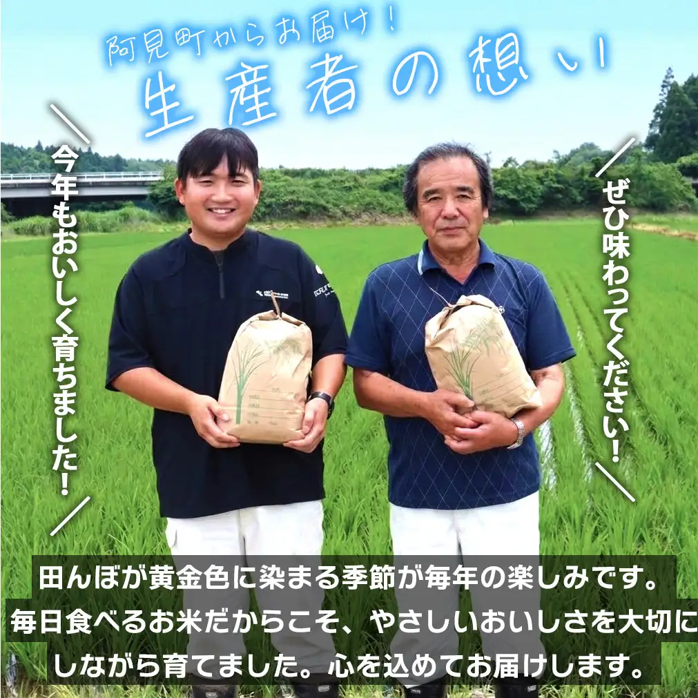 米 定期便 12ヶ月 コシヒカリ 精米 10kg 令和7年産 茨城県産 お米 こめ コメ ごはん 白米 こしひかり 茨城県産米 単一米 単一原料米 安心 安全 送料無料 国産 人気 数量限定 高評価（85-159）