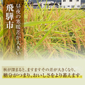 【玄米】 600g 飛騨産 コシヒカリ / 米 お米 約4合 清水農園 [Q2727]