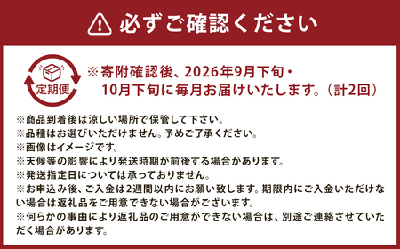 【2ヶ月定期便】 梨 3kg （計6kg） 2回定期便 なし ナシ 果物 果実 フルーツ 定期便 国産 九州 福岡県 嘉麻市 常温 【2026年9月下旬-10月下旬発送予定】
