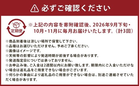 【2ヶ月定期便】 梨 4.5kg （計9kg） 2回定期便 なし ナシ 果物 果実 フルーツ 定期便 国産 九州 福岡県 嘉麻市 常温 【2026年9月下旬-10月下旬発送予定】
