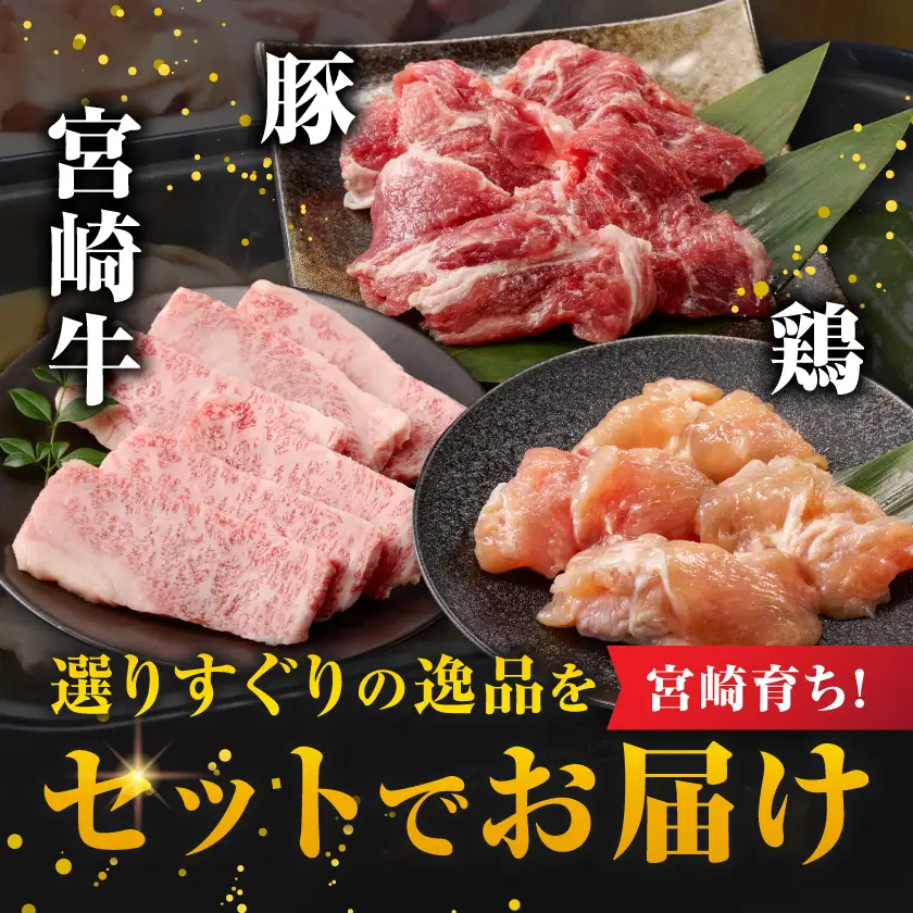 宮崎県産≪宮崎牛・豚・鶏≫3種の焼肉セット300g×3パック≪みやこんじょ快速便≫〔14-89-003-900g-R〕_(都城市)  宮崎県産 焼肉セット 宮崎牛バラ 豚肉(ロース又は肩ロース) 鶏モモ肉