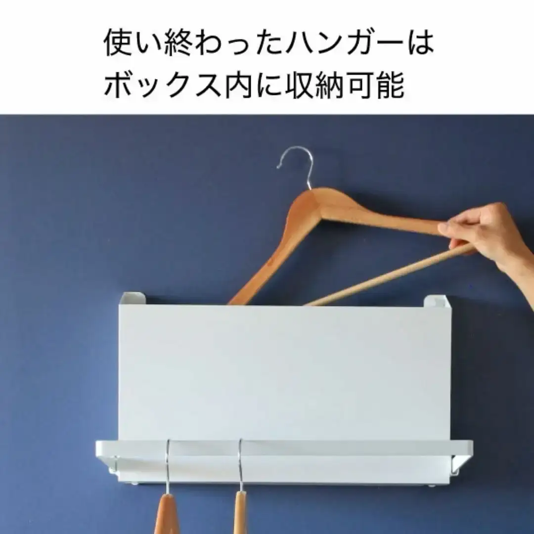 壁掛けハンガーボックス ホワイト SE-250 日本製 燕三条 玄関収納 レイン コート 川口工器