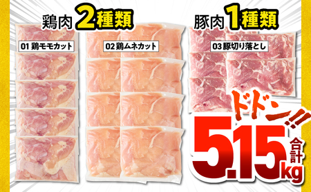 鹿児島県産 豚 鶏 バラエティ 5.15kg KN165-002 肉 豚肉 鶏肉 冷凍