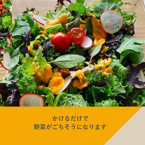 はじめてのフェリチタ（2本）　ドレッシング 調味料  詰め合わせ セット 200ml×2本 人参ドレッシング 胡麻ドレッシング 野菜 サラダ 温野菜 肉料理 たれ 食べ比べ 手づくり 八ヶ岳 栽培期間中農薬不使用 化学調味料不使用 保存料不使用 着色料不使用  [h097]