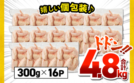 鹿児島県産 若鶏 手羽先 4.8kg セット KN165-006-01 肉 鶏肉 冷凍