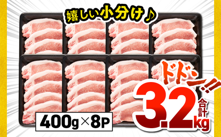 鹿児島県産 豚肉 ロース カツ用 3.2kg セット KN165-009 肉 冷凍