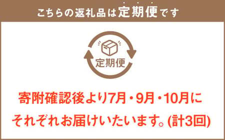 【3回定期便】岡山県産 フルーツ定期便コース （白桃・ニューピオーネ・晴王） 計約4kg 【2026年7月上旬発送開始】 白桃 桃 もも ニューピオーネ シャインマスカット 晴王 ぶどう 葡萄 マスカット フルーツ 果物 くだもの 岡山